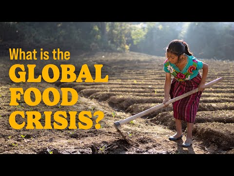 What is the Global Food Crisis and How Can We Help?