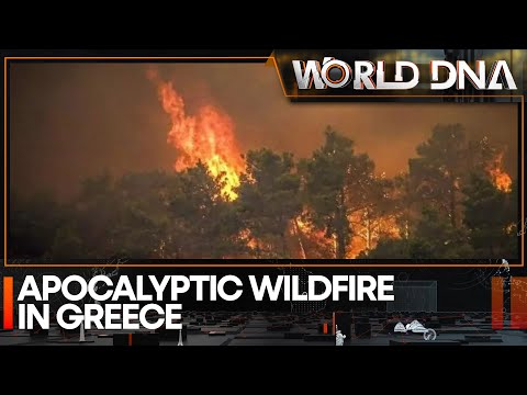 Greek wildfire in Rhode island forces largest-ever fire evacuation | World News | WION